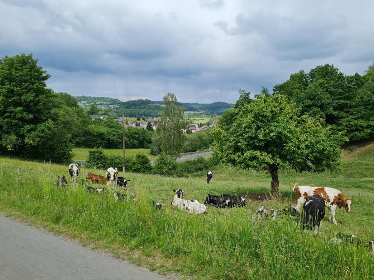 Gasthaus Paula Leilighet Üdersdorf Eksteriør bilde